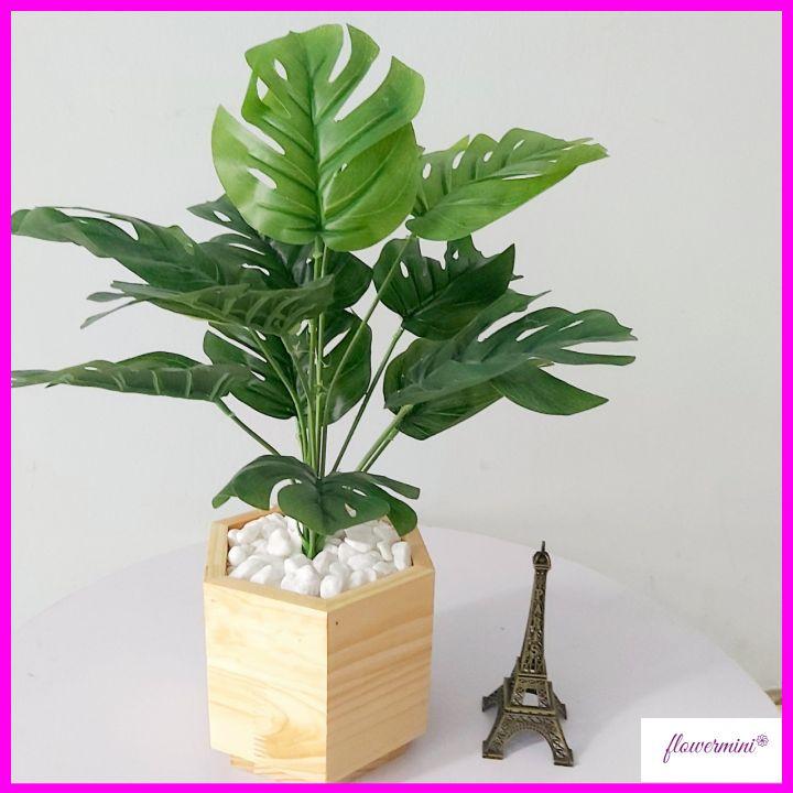 Chậu cây lá rùa giả 45cm để bàn trang trí xanh mát kèm chậu gỗ lục giác độc đáo Flowermini CGR-01