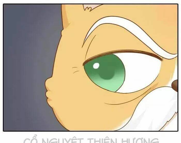 tiểu hồ ly vs tiểu hóa thượng chapter 62 8