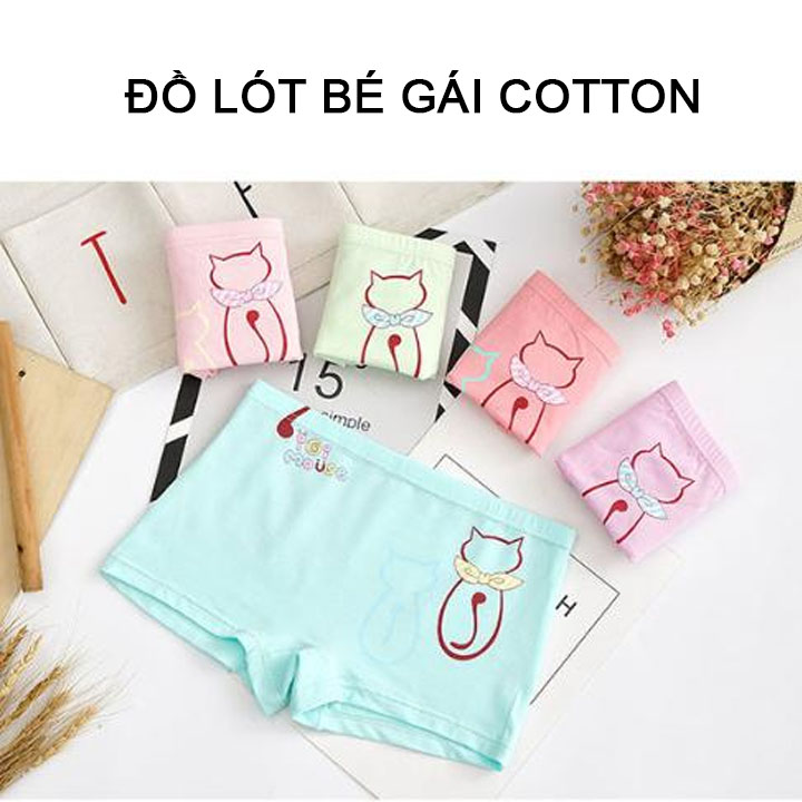 Combo 5 chiếc quần lót bé gái vải cotton cao cấp nguyên chất