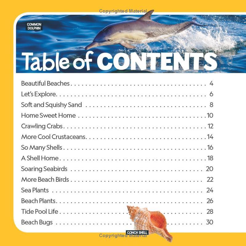 Sách ngoại văn: Little Kids First Nature Guide - Explore The Beach