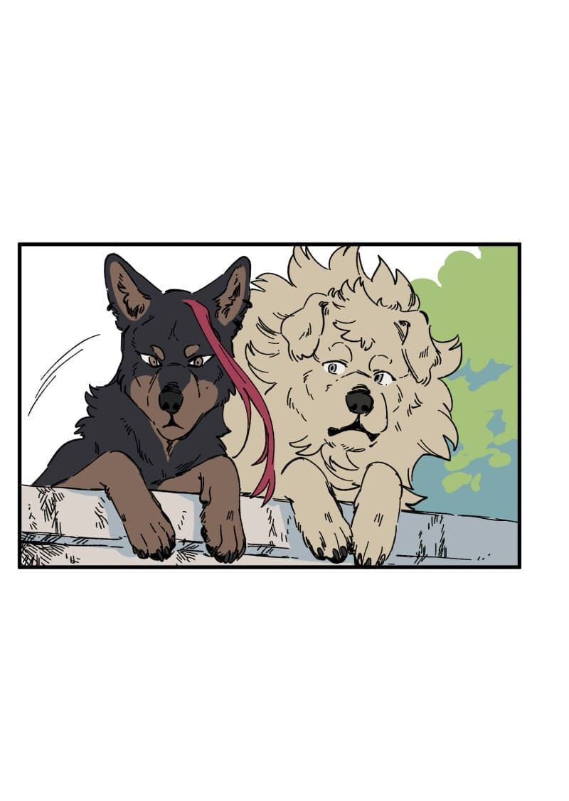 lumine - cội nguồn ánh sáng chapter 139 13