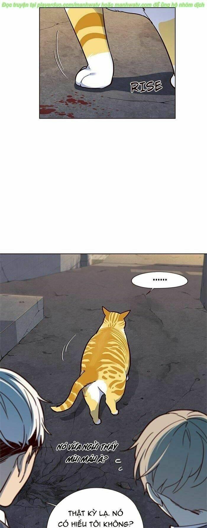 biến thân thành mèo chapter 41 37