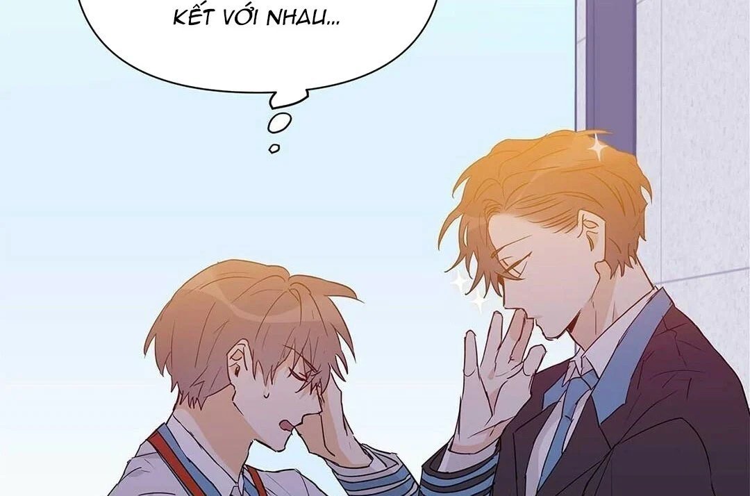 guide cấp b chapter 24 30