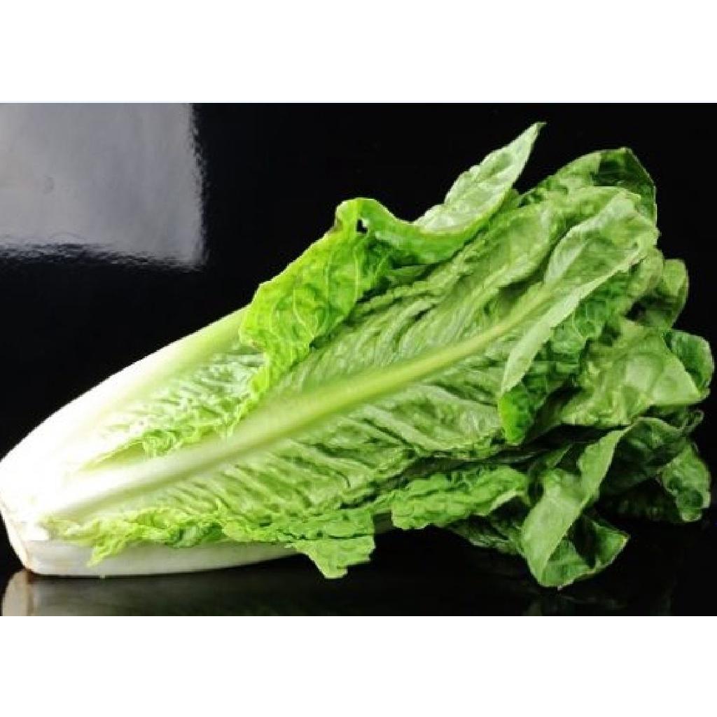 Combo 4 gói hạt giống xà lách các loại-gói 2gram-tặng kèm gói phân bón lót