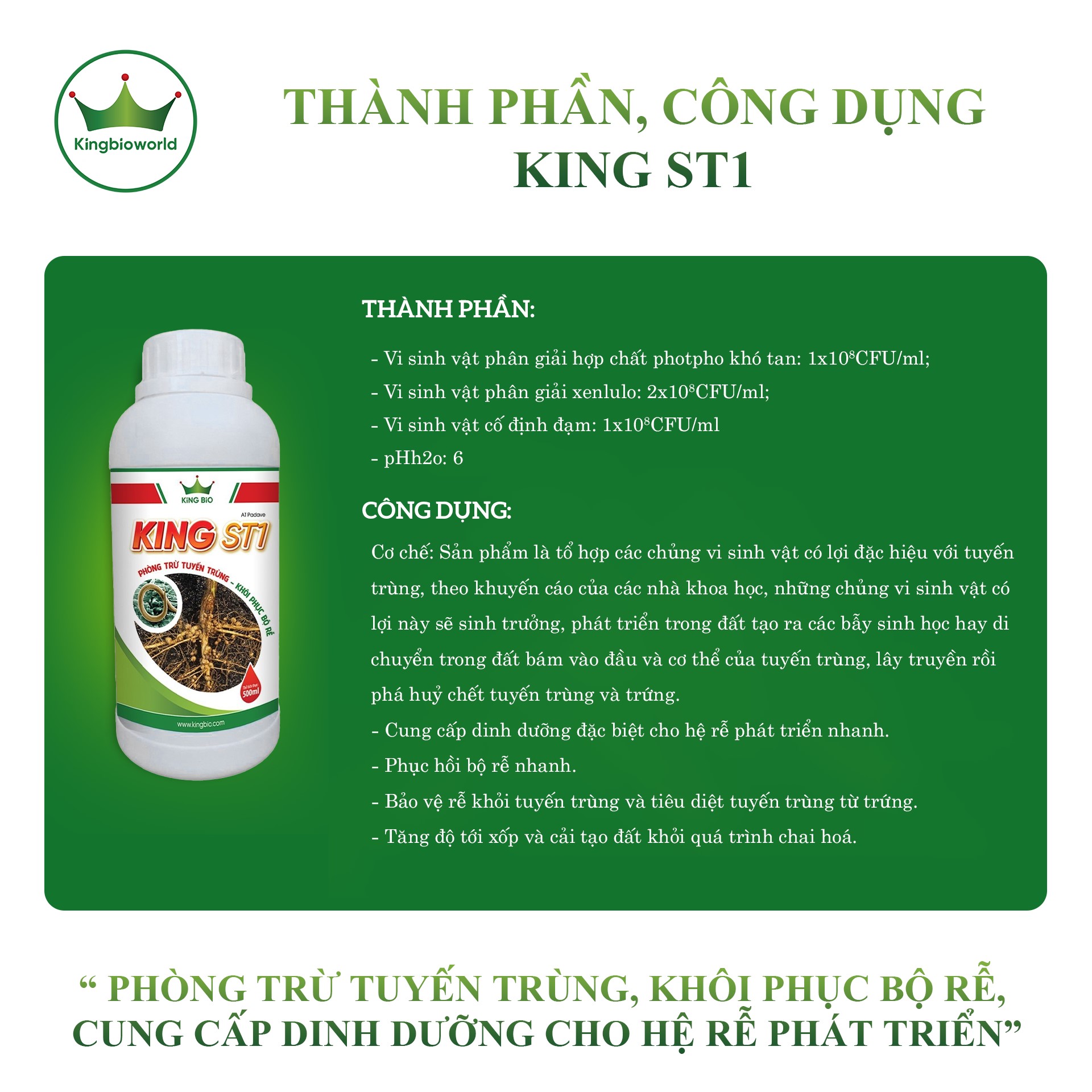 Combo đặc trị vàng lá thối rễ tuyết trùng dứt điểm King F1, King ST1, King 68