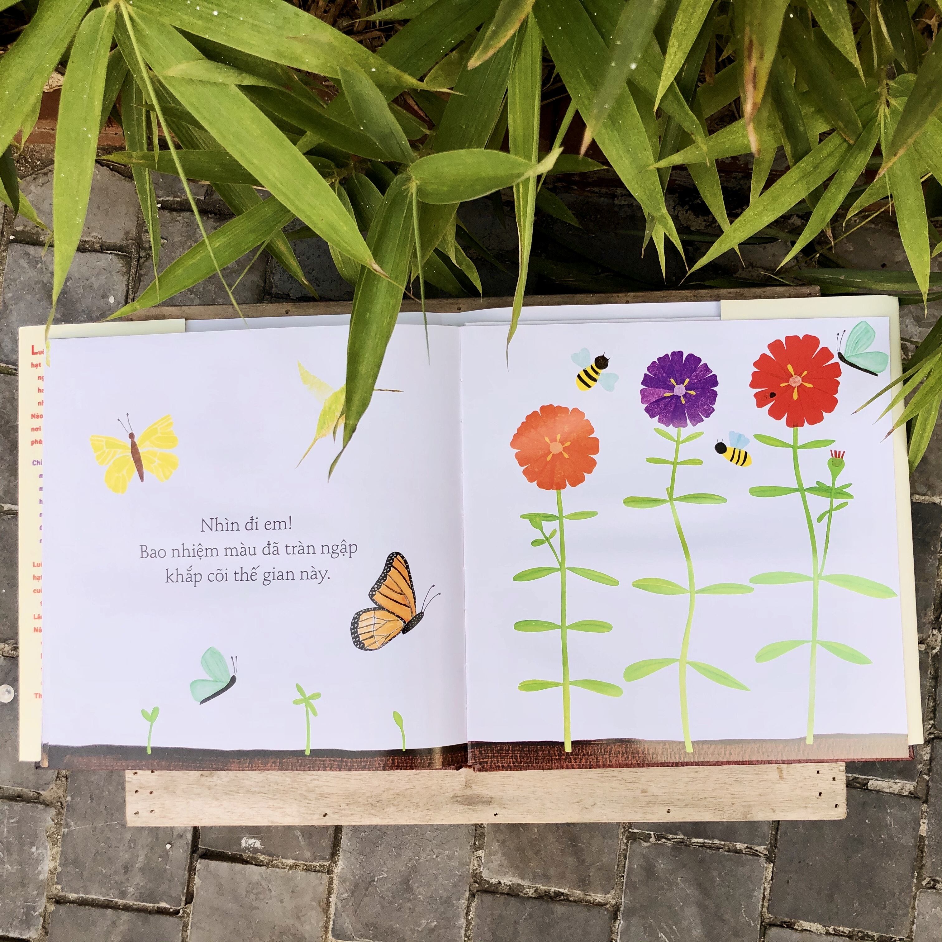 Gieo xuống một hạt mầm diệu kỳ - Sách tương tác - Crabit Kidbooks