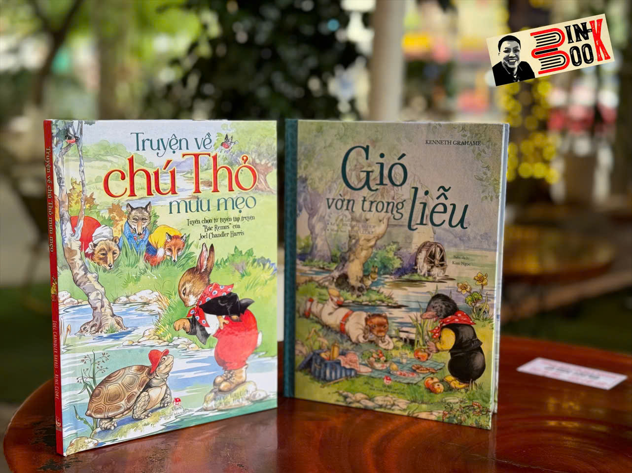 (Combo 2 Cuốn, Bìa Cứng, In Màu) TRUYỆN VỀ CHÚ THỎ MƯU MẸO, GIÓ VỜN TRONG LIỄU - NXB Kim Đồng