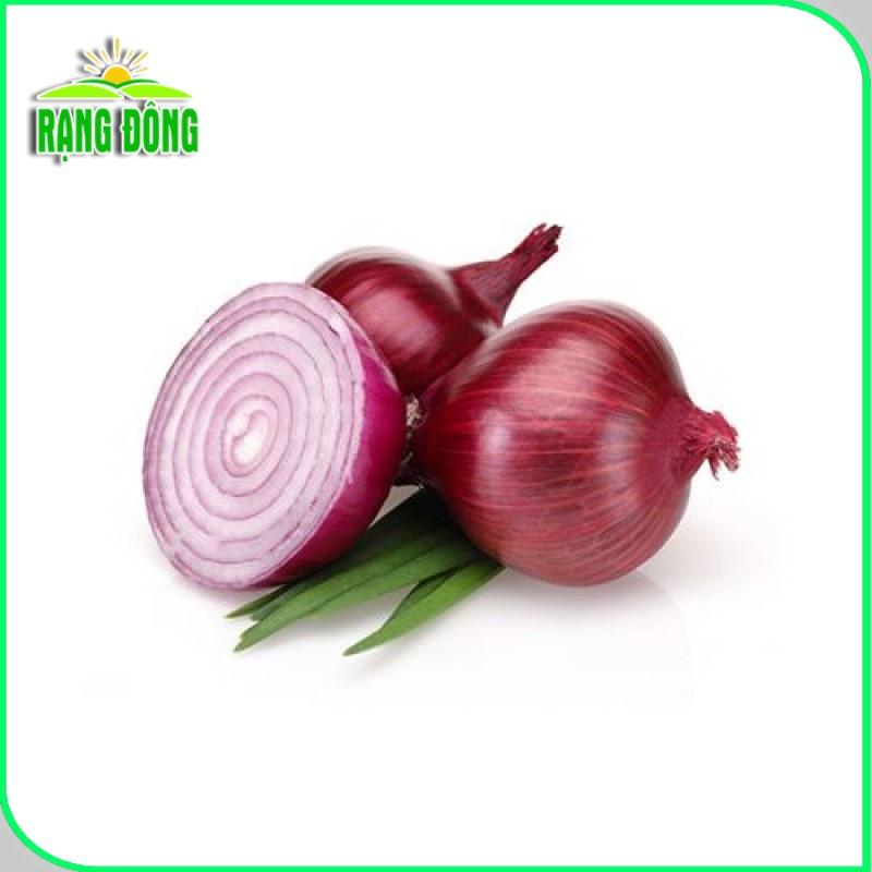 Hạt giống Hành Tây Đỏ Salad Red 027 (2g~300 hạt) củ to, sinh trưởng khỏe, trồng quanh năm - Hạt giống Rạng Đông