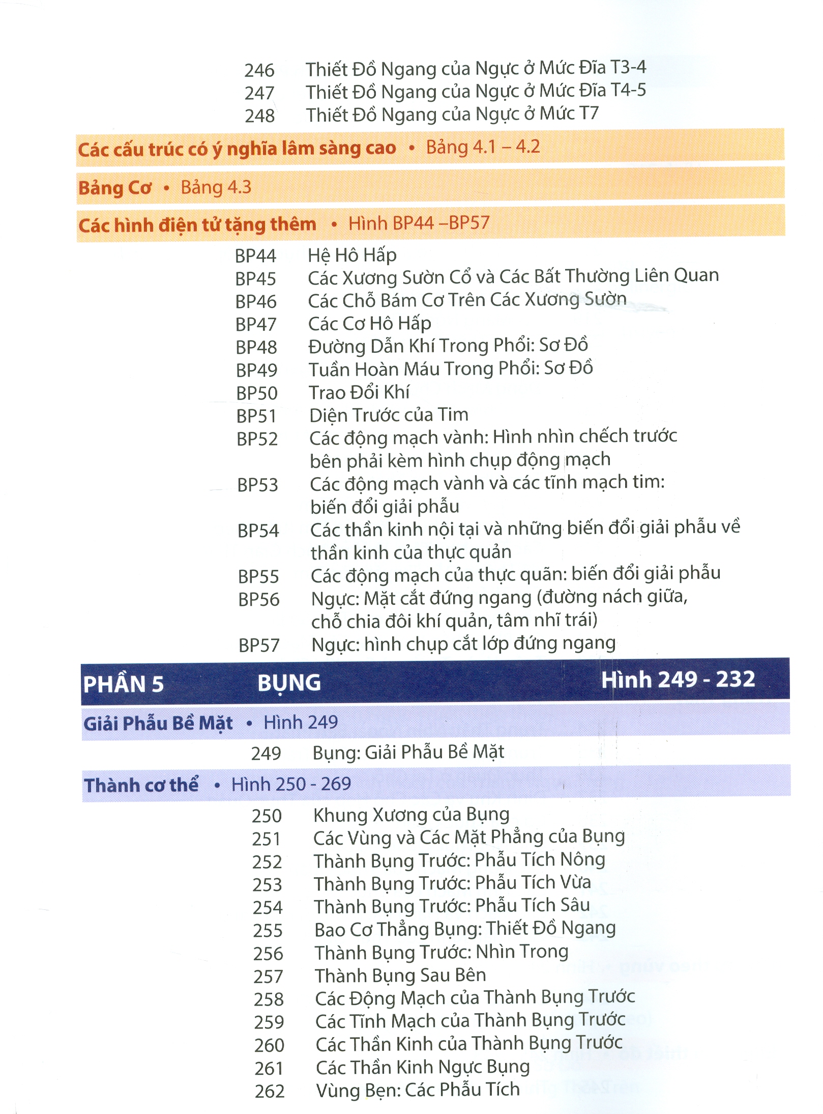 ATLAS GIẢI PHẪU NGƯỜI - In Lần Thứ IV (năm 2022) Theo Ấn Phẩm Lần Thứ VII Của Nxb Elsevier Có Sửa Chữa Và Bổ Sung (ATLAS OF HUMAN ANATOMY  Seventh Edition)