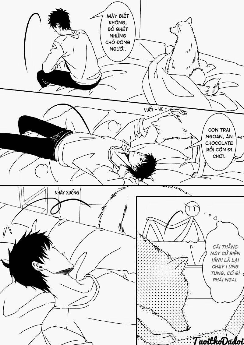 sự mê hoặc của sói chapter 24 6