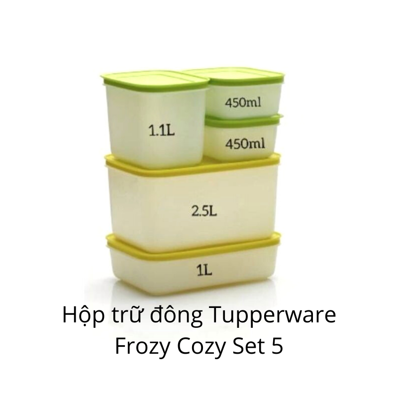 Bộ hộp trữ đông Tupperware Frozy Cozy