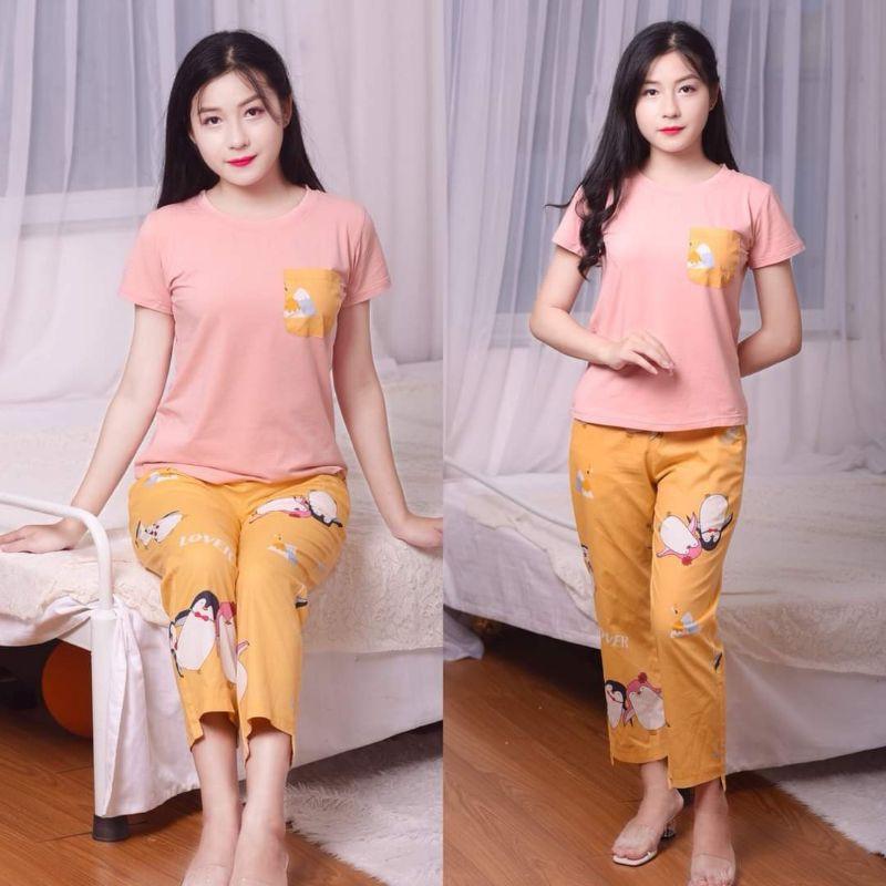 (4 màu) Set đồ bộ mặc nhà, sau sinh phối