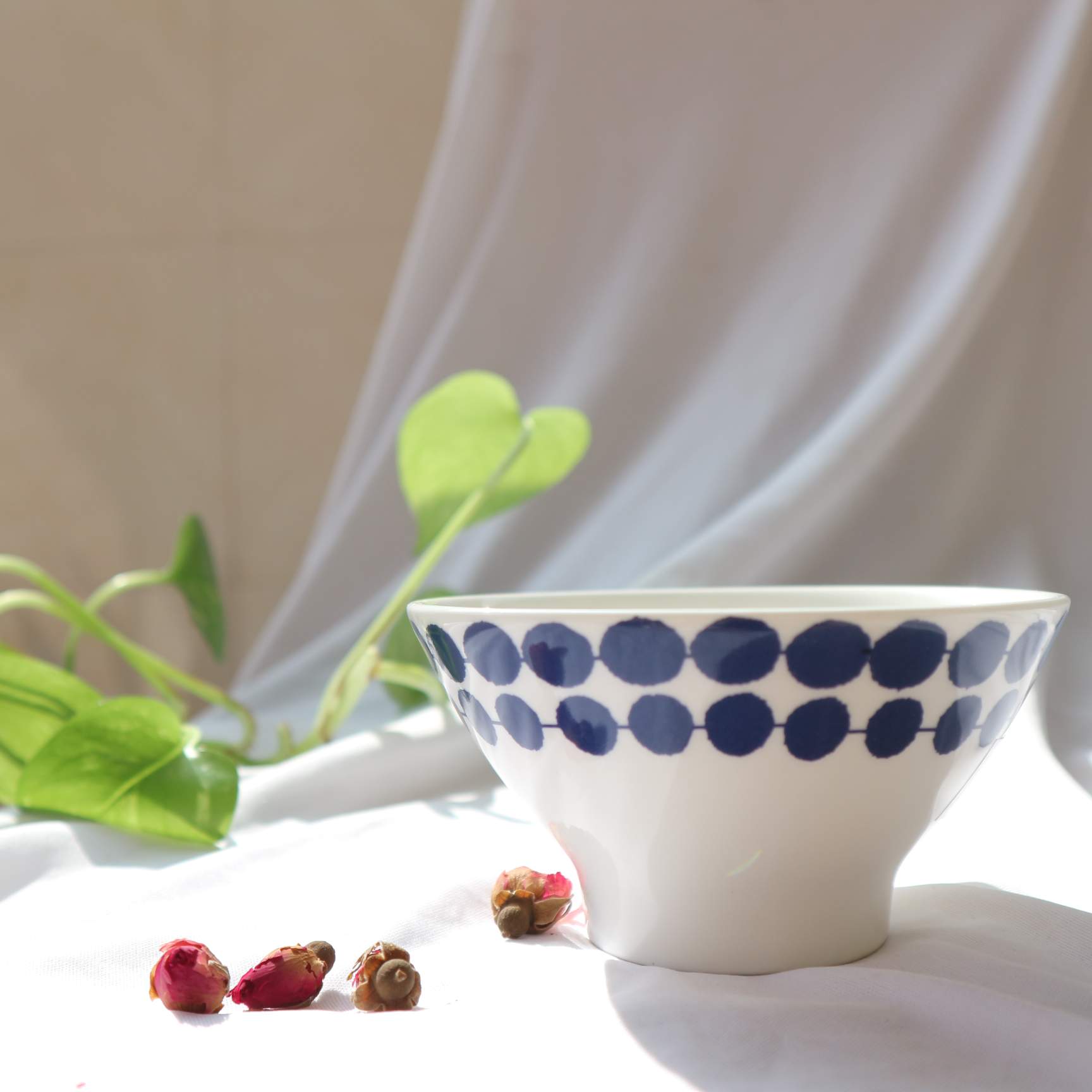 Chén Kiểu Cổ Điển - Màu Trắng Chấm Tròn Viền Xanh Cobalt