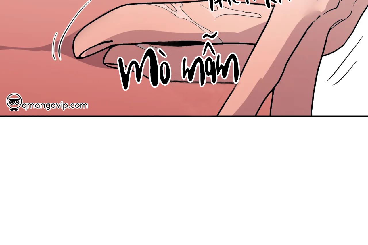 ám ảnh pheromone chapter 60 72