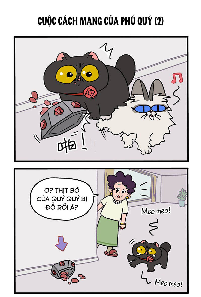 a mãn và mạch trà chapter 31 3