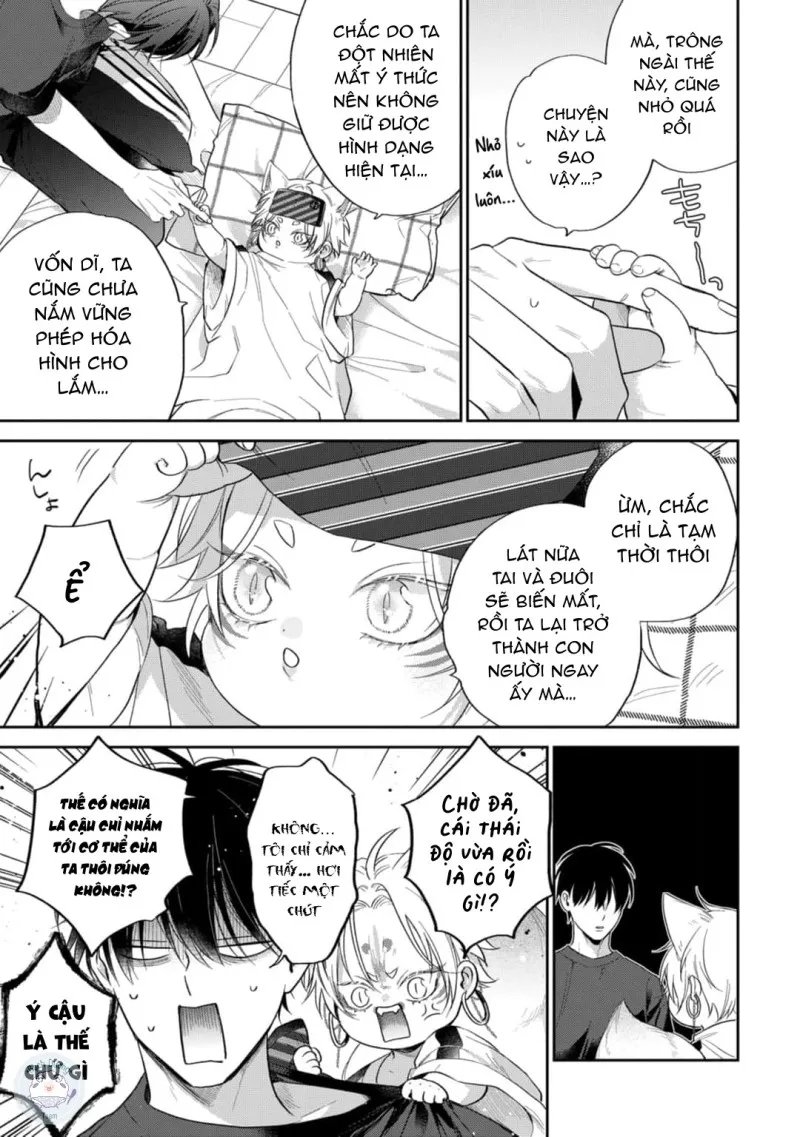 đặc ân của yêu hồ chapter 4 11