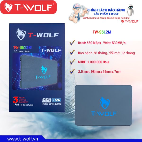 SSD T-Wolf TW-S512M Hàng nhập khẩu