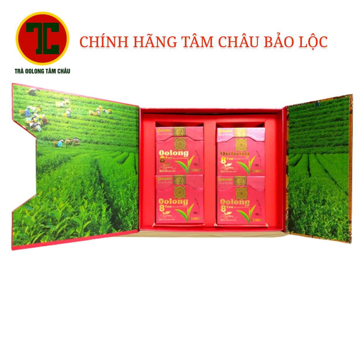 Trà Oolong hộp 8tea Tâm Châu 320g