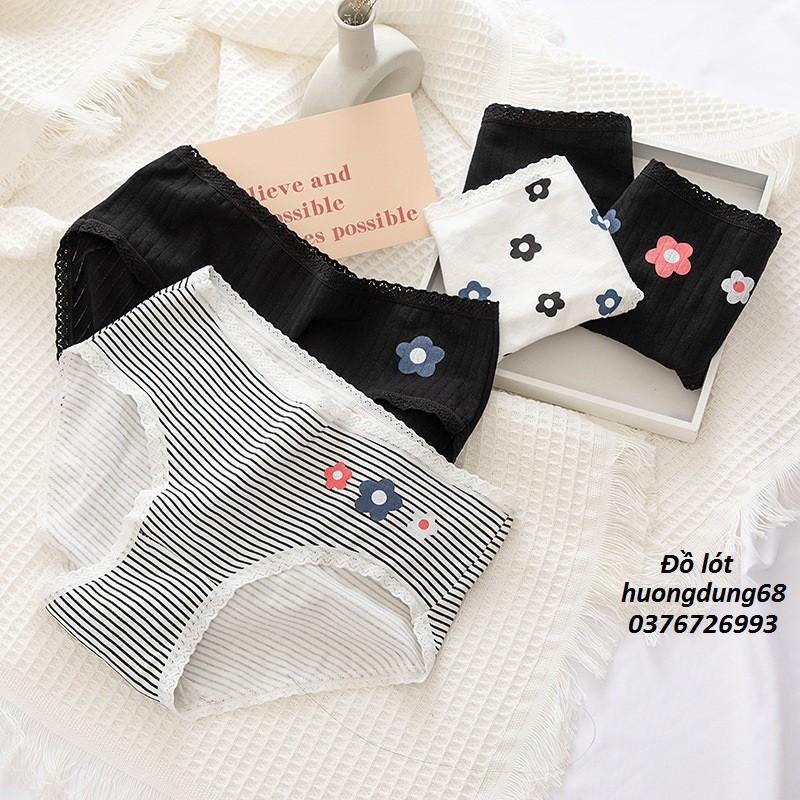 Quần Lót Nữ Cotton Kháng Khuẩn Ngang Eo Xuất Nhật  Hàng Loại Đẹp.