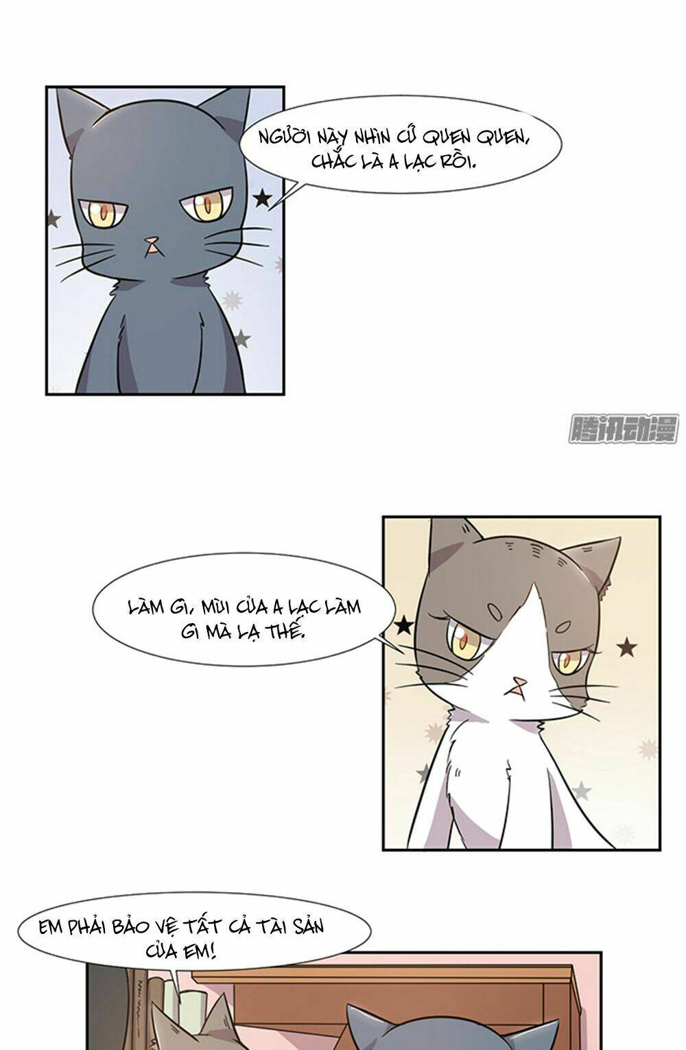 hai chú mèo totem chapter 28 7