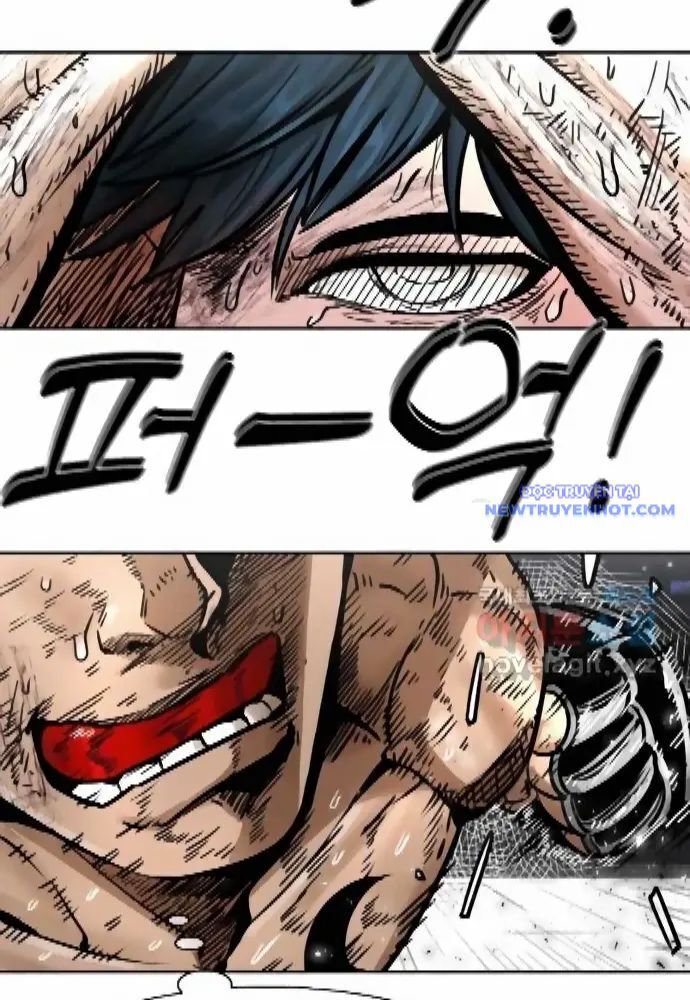 shark - cá mập chapter 279 27