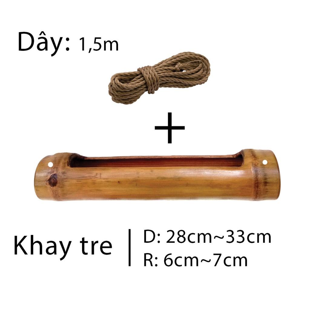 Khay tre l Khay trồng cây kiểng, trang trí tiểu cảnh.