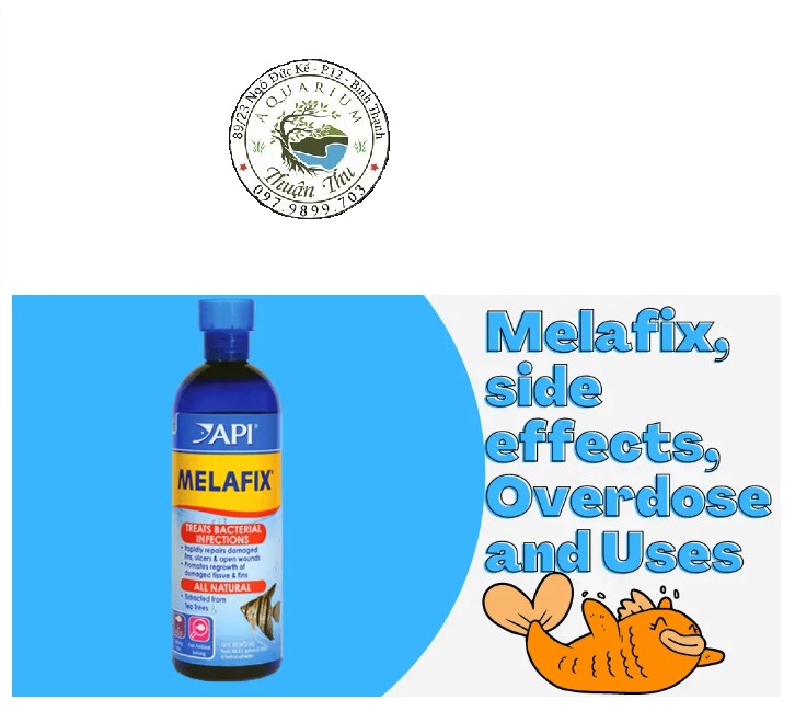 API MELAFIX - Dung Dịch Kháng Khuẩn Cao Cấp - 118ml cho bể cá cảnh