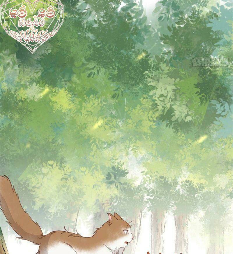 sát thủ vương phi không dễ chọc chapter 30 34