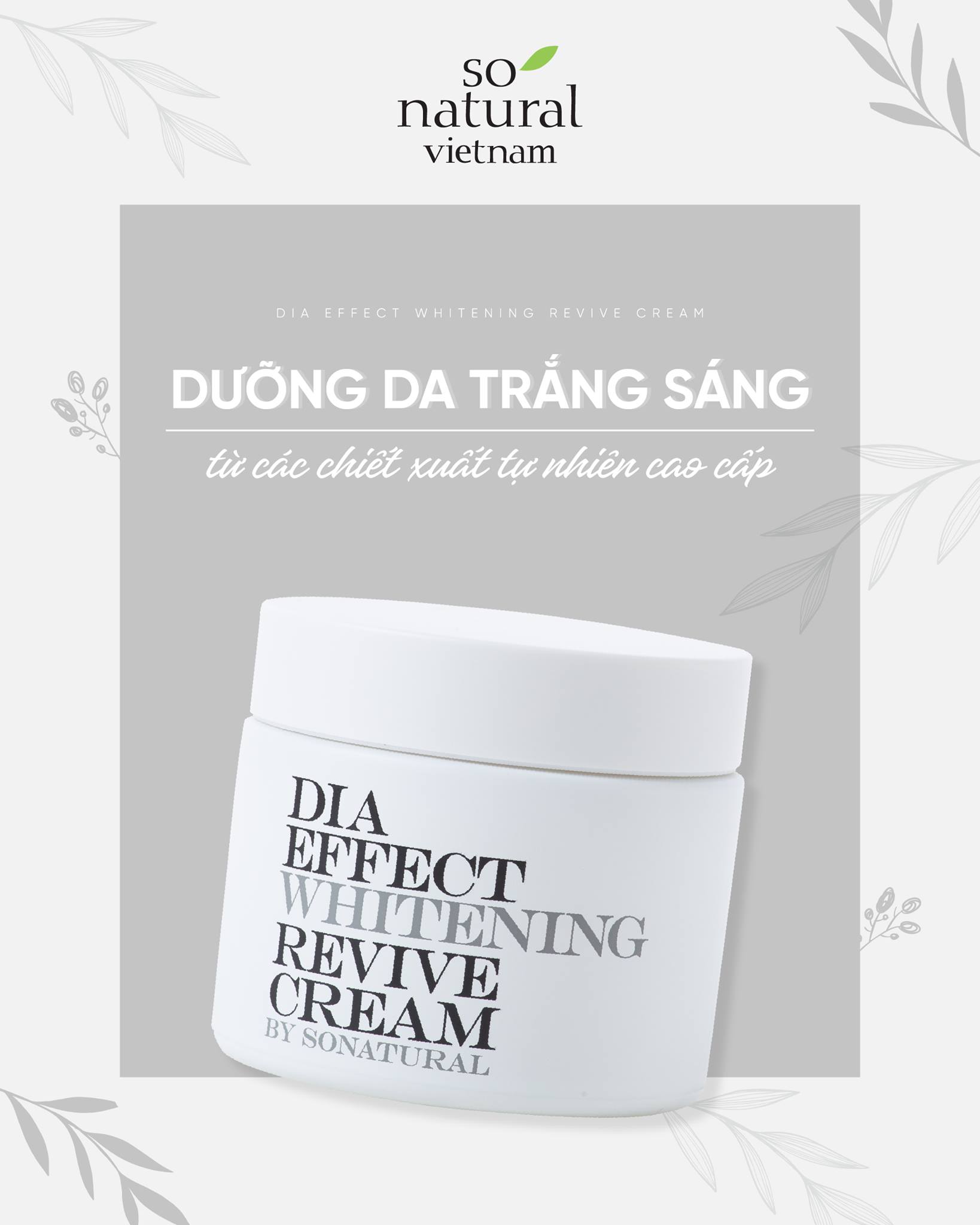 Kem Dưỡng Da Nâng Tone Ngày Đêm Dia Effect Whitening Revive Cream So Natural Hàn Quốc