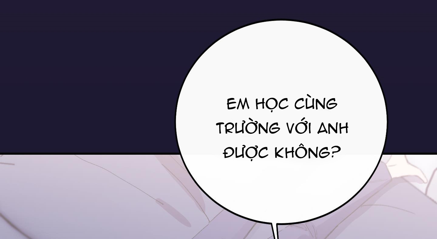 lãng mạn giả dối chapter 11 135