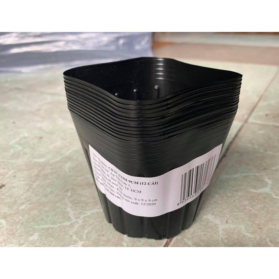 10 Chậu to ươm cây - màu đen -