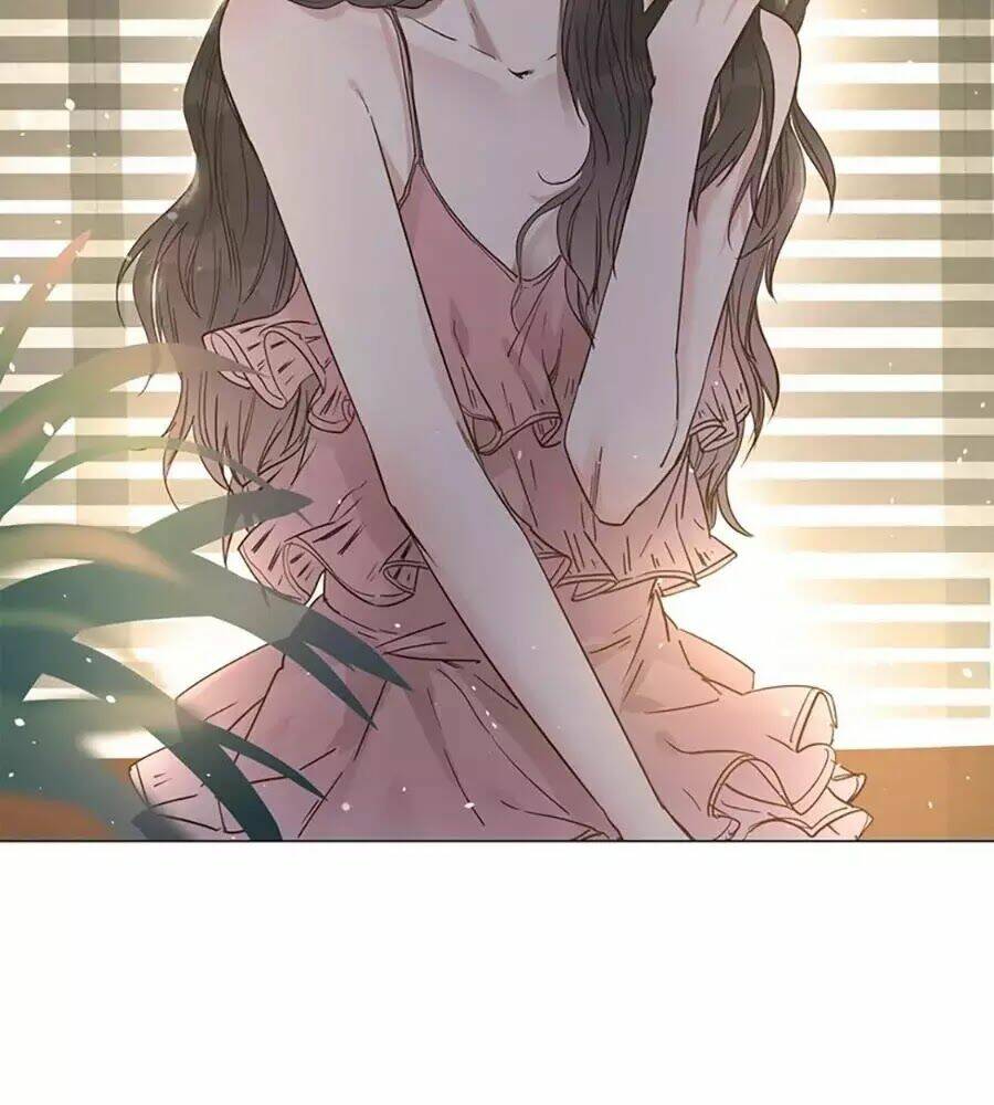 ngôi sao vụn vỡ chapter 30 42