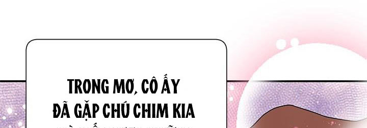 công chúa của loài chim chapter 50.1 219