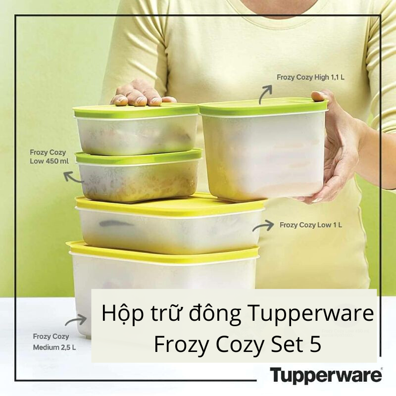 Bộ hộp trữ đông Tupperware Frozy Cozy