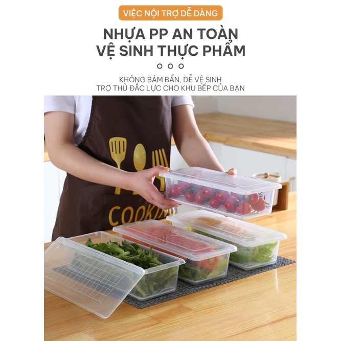 Hộp Nhựa Đựng Thực Phẩm Có Khay Ráo Nước, Trong Suốt Chất Liệu Nhựa PP An Toàn Vệ Sinh Thực Phẩm, Bảo Quản Lâu Hơn