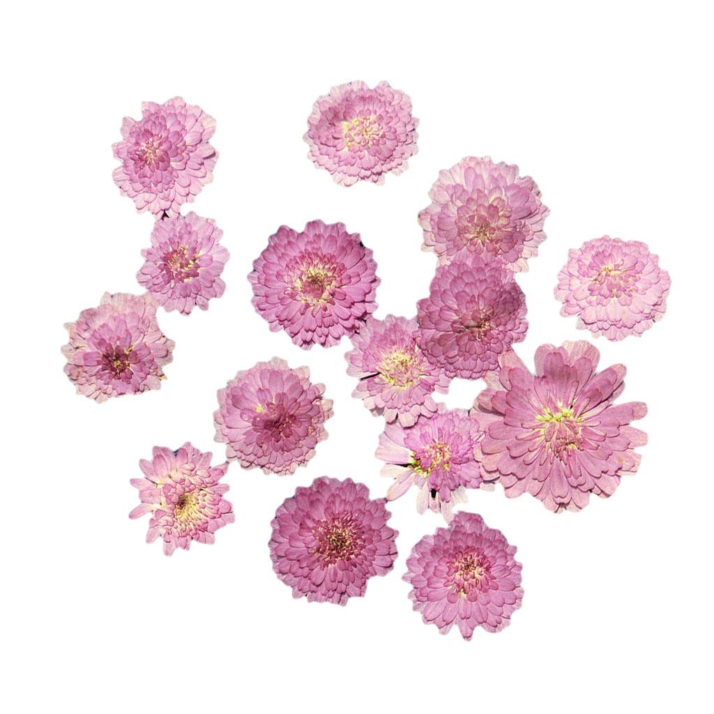 10x Pressed Dried Flower Dry Leaves for DIY Crafts Bookmark Cards Making