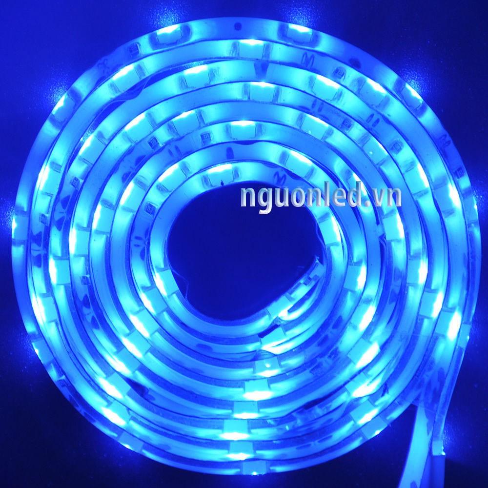 Đèn led dây dán 5m 5050 trắng loại tốt - Led Dây 5050 trắng