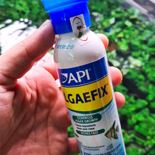 Diệt Rêu Tảo Hại API Algaefix