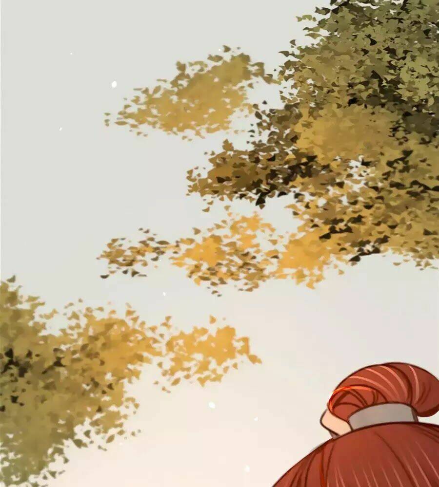 phượng hoàn triều: vương gia yêu nghiệt xin tránh đường chapter 27 13