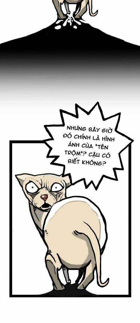 earth, human, and animal chapter 22 20