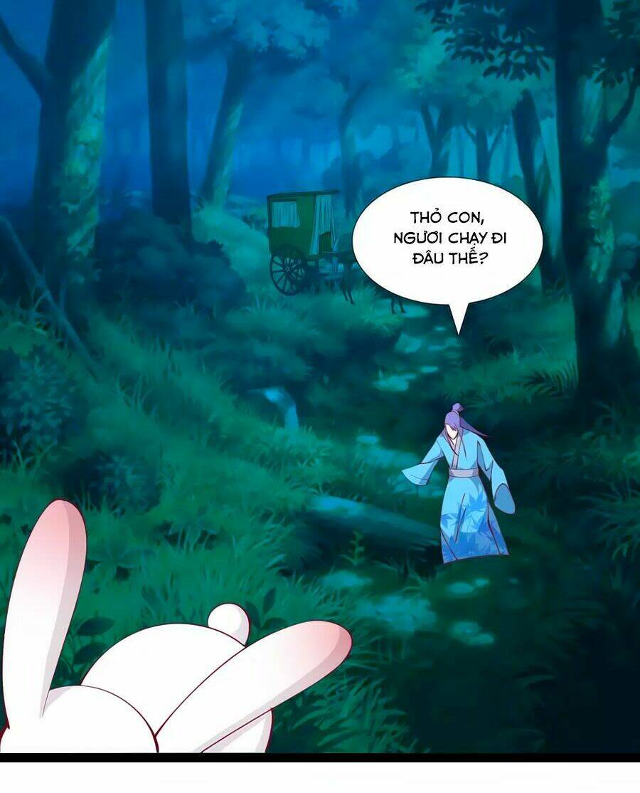 thỏ yêu tiểu vương phi chapter 85 21