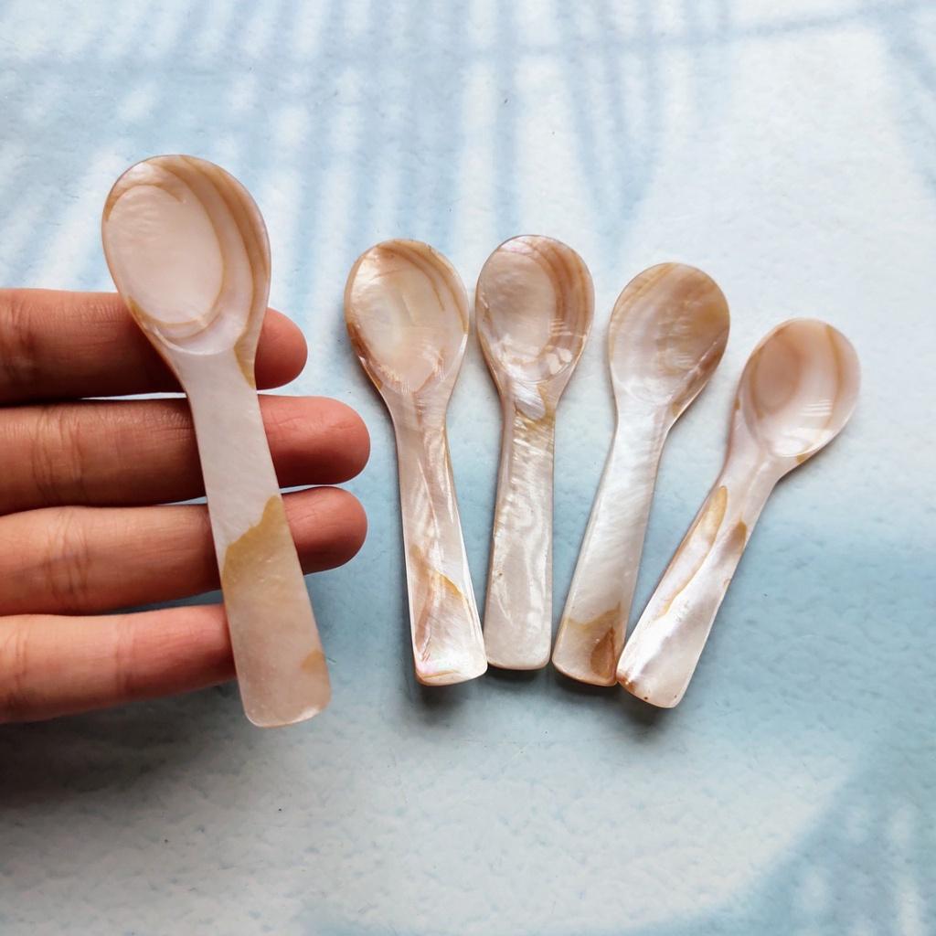 Thìa Trai Hồng 10cm Xúc Trứng Cá Hồi, Trứng Cua, Thìa Trai Tự Nhiên Chụp Ảnh Decor