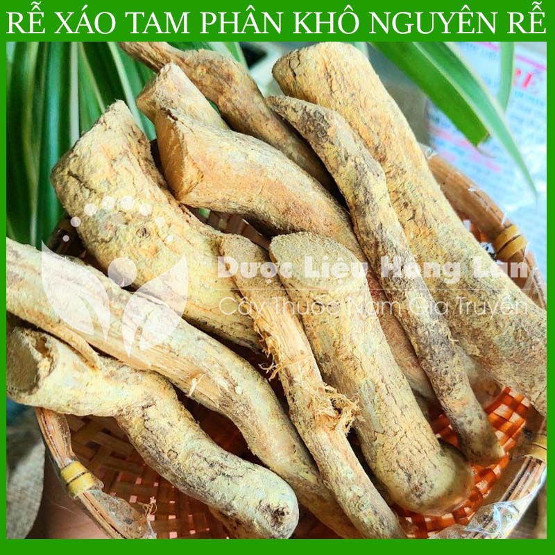 [THƯỢNG HẠNG] 1KG Rễ Xáo Tam Phân nguyên rễ khô nguyên chất loại 1