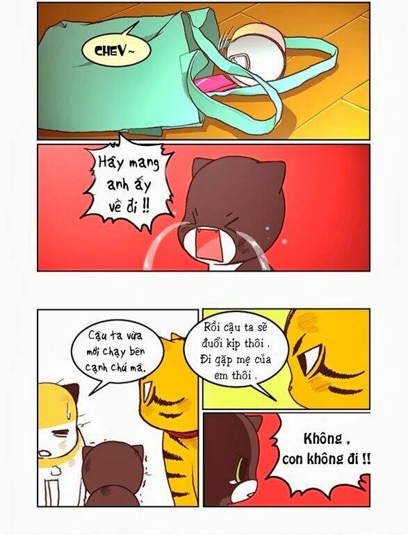 papi nyang chapter 17 9