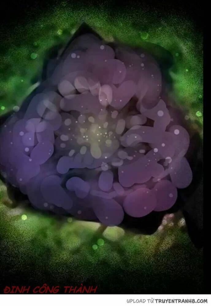 hoa mẫu đơn đen chapter 1 19