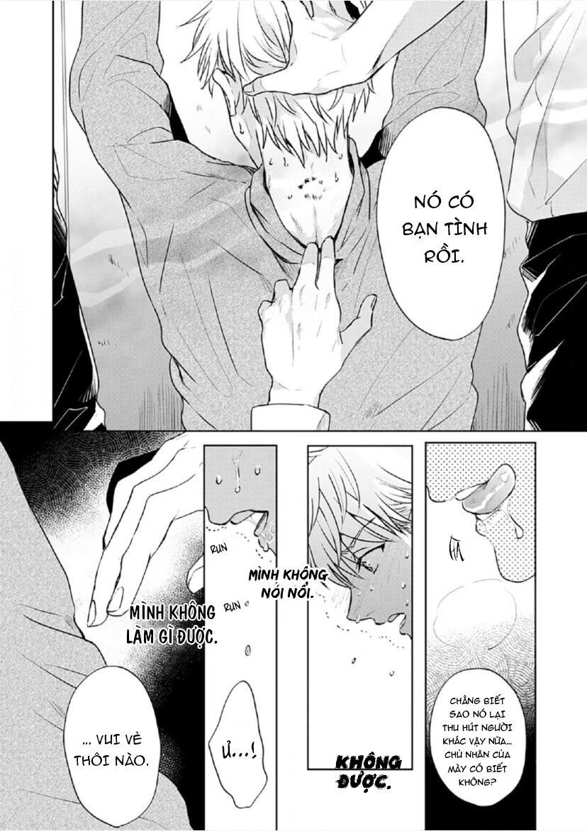 vết cắn tình đầu chapter 1 20