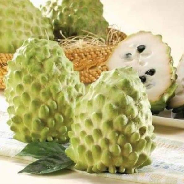 Sản phẩm NA DỨA ĐÀI LOAN