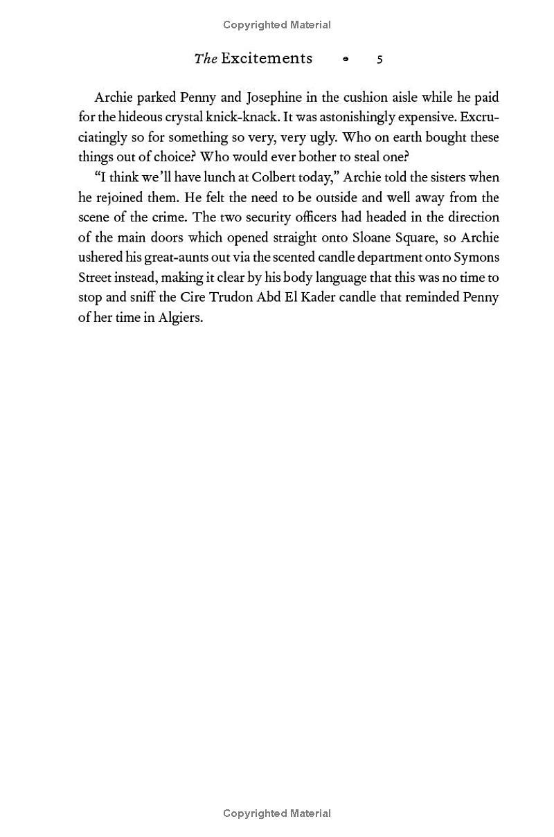 Sách ngoại văn: The Excitements - CJ Wray