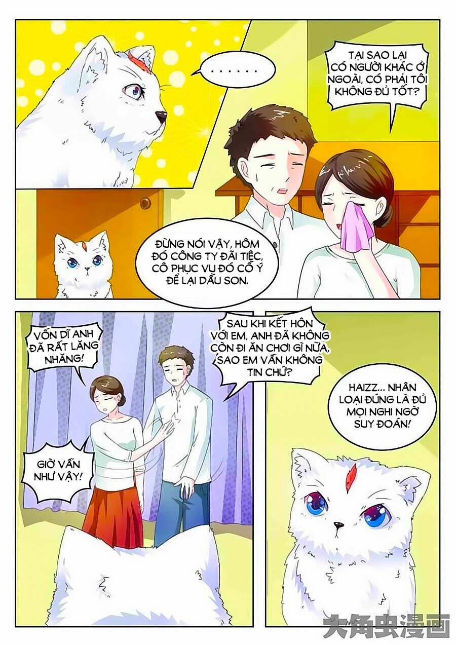 mau lấy con mèo đó ra chapter 2 12