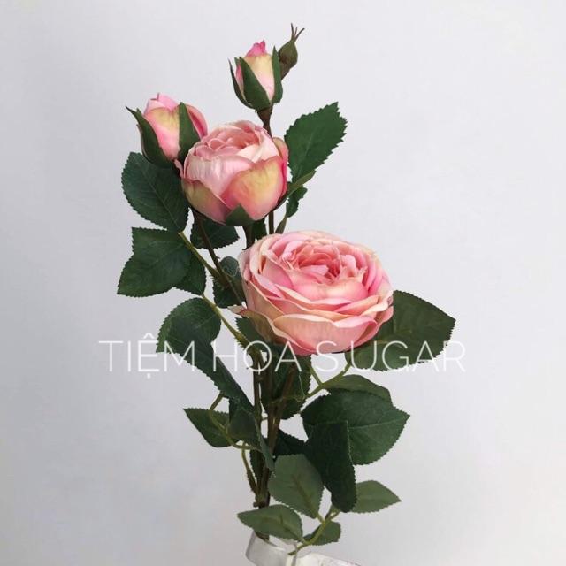 Hồng 2 bông 3 nụ